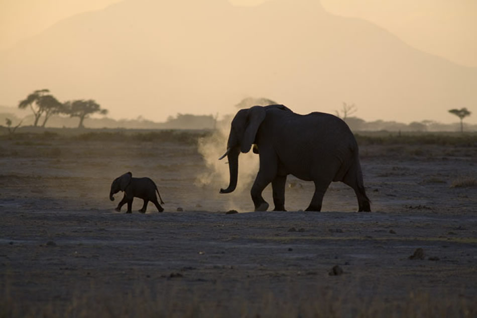 Precocious two-week old