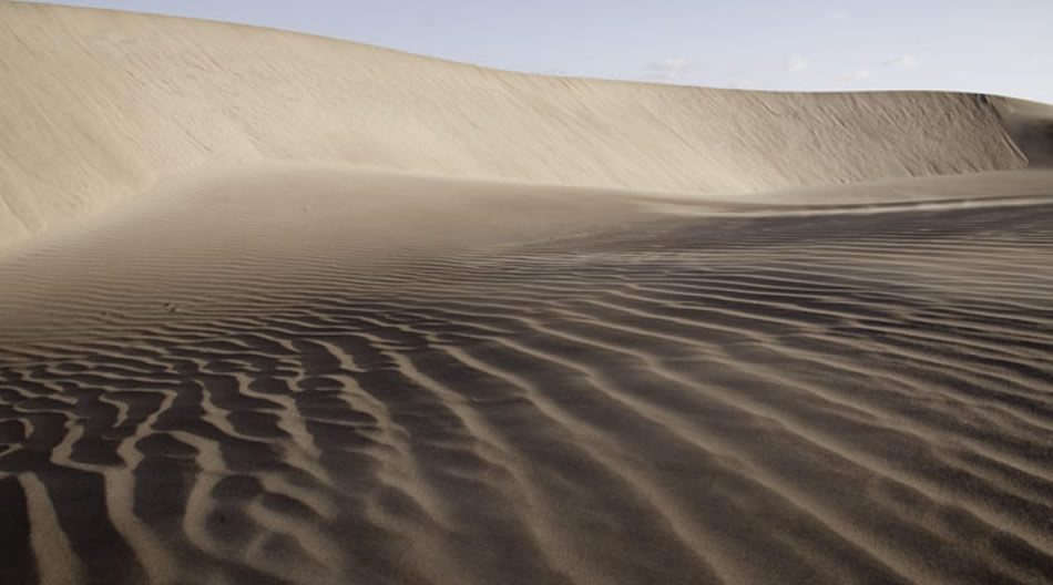 Magdalena Bay Dunes Sunrise