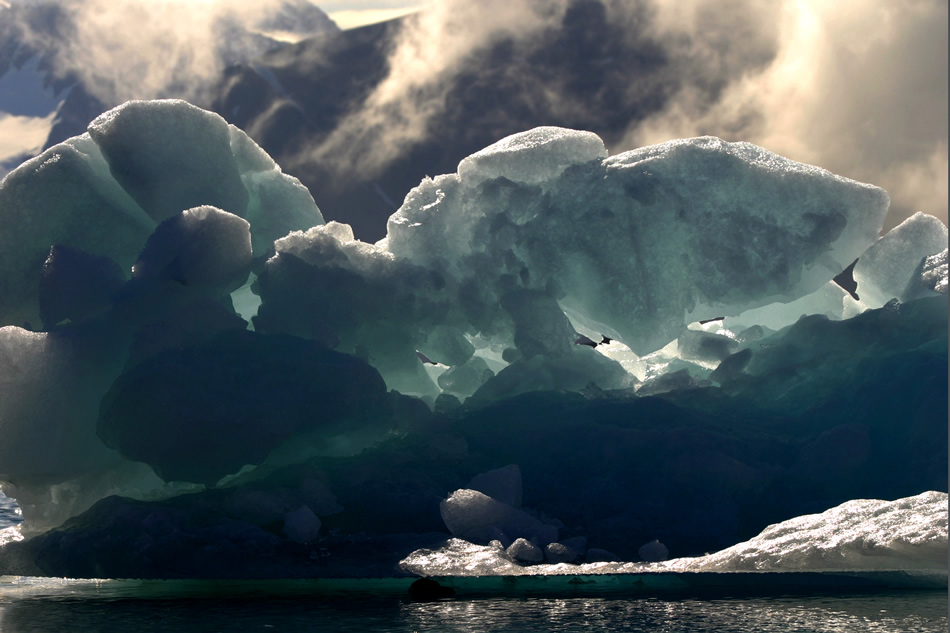Iceberg from Kayak