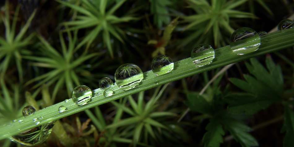 Reflections in droplets