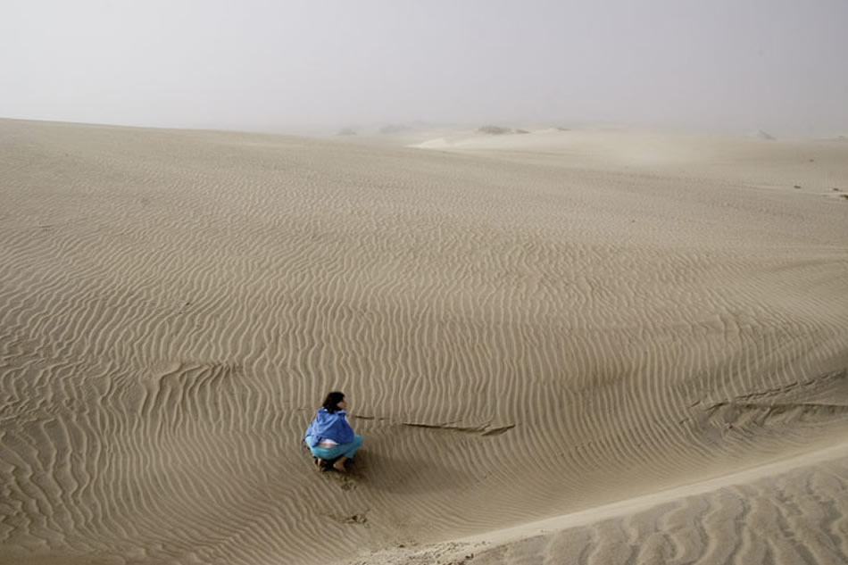 Magdalena Bay Morning Fog