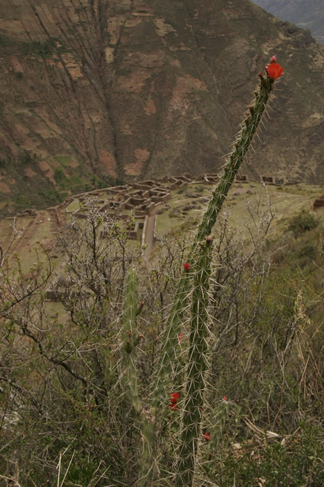 Peru 028